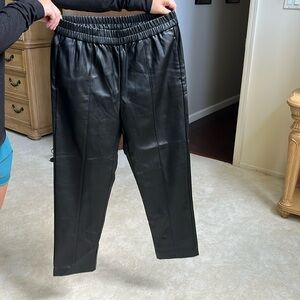 Ann Taylor pleather pants